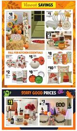 Dollar General Weekly Ad week 35 Page 13