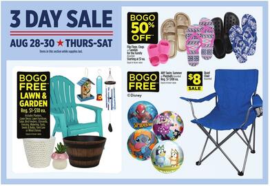 Dollar General Weekly Ad week 35 Page 2