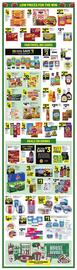 Dollar General Weekly Ad week 35 Page 3