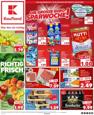 Kaufland Prospekt (gültig bis 3-09)
