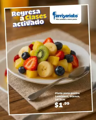 Catálogo Ferrisariato (válido hasta 31-08)