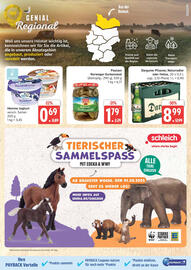 Marktkauf Prospekt woche 35 Seite 15
