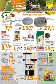 Globus Baumarkt Prospekt Seite 8