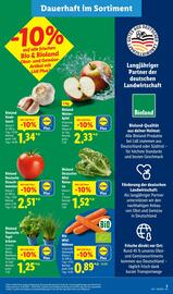Lidl Prospekt woche 36 Seite 3