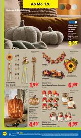 Lidl Prospekt woche 36 Seite 34
