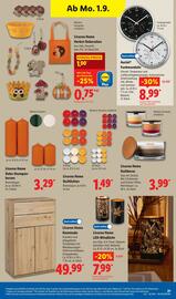 Lidl Prospekt woche 36 Seite 35