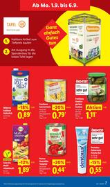 Lidl Prospekt woche 36 Seite 9