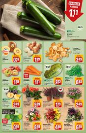 REWE Center Prospekt woche 35 Seite 7