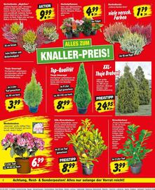 Repo Markt Prospekt woche 35 Seite 2