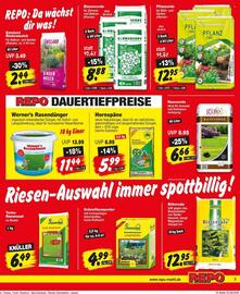 Repo Markt Prospekt woche 35 Seite 3
