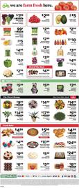 ShopRite Weekly Ad week 34 Page 11