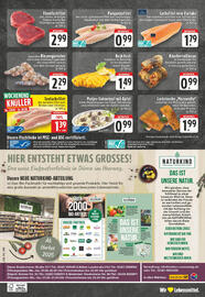 Edeka Prospekt woche 35 Seite 24
