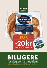 Coop Mega kundeavis uke 35 Side 13