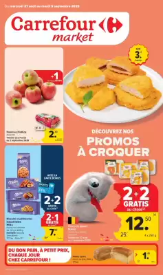 Carrefour Market folder (geldig t/m 9-09)