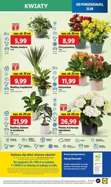 Lidl gazetka Strona 53