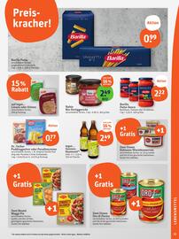 basic Prospekt Seite 17