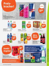 basic Prospekt Seite 19