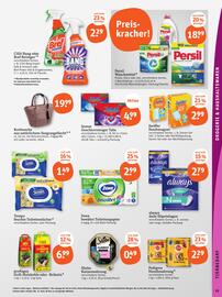 basic Prospekt Seite 21
