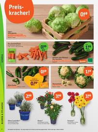basic Prospekt Seite 4