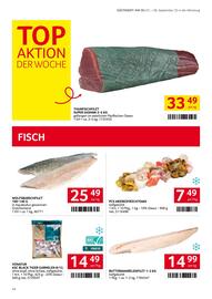 Transgourmet Flugblatt woche 36 Seite 15