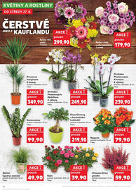 Kaufland leták týden 35 Strana 10