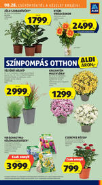 ALDI akciós újság hét 35 Oldal 7