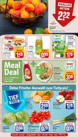 REWE PETZ Prospekt woche 35 Seite 6