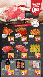 REWE PETZ Prospekt woche 35 Seite 8