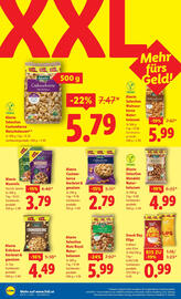 Lidl Flugblatt Seite 13