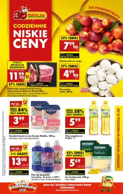 Biedronka gazetka