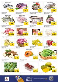 Nesto catalogue Page 4