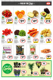 IGA catalogue week 35 Page 6