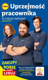 Lidl gazetka Strona 13