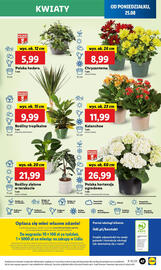 Lidl gazetka Strona 53