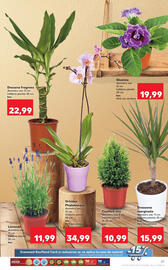 Catalog Kaufland săptămâna 35 Pagină 27
