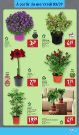 Catalogue ALDI semaine 36 page 46