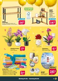 NETTO Prospekt woche 36 Seite 27