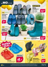 NETTO Prospekt woche 36 Seite 32