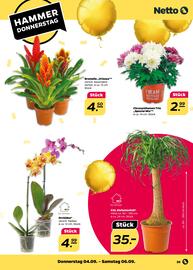NETTO Prospekt woche 36 Seite 39