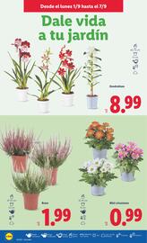 Folleto Lidl semana 36 Página 26