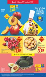 Folleto Lidl semana 36 Página 3
