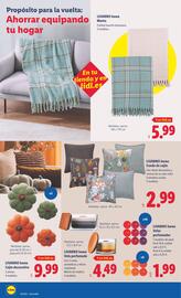 Folleto Lidl | de Bazar Página 12
