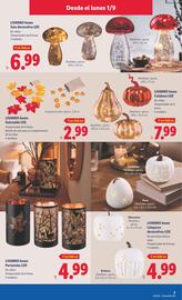 Folleto Lidl | de Bazar Página 13