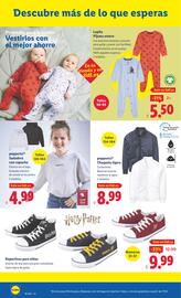 Folleto Lidl | de Bazar Página 2
