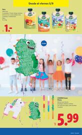 Folleto Lidl | de Bazar Página 21