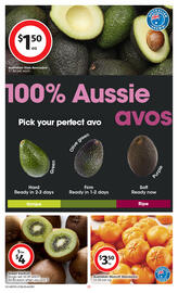 Coles catalogue week 35 Page 21
