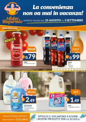 Volantino Mister Risparmio (valido fino al 3-09)