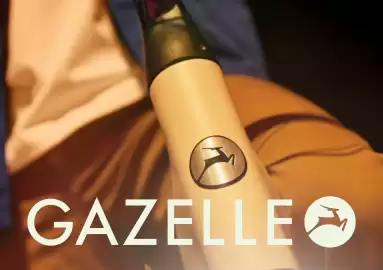 Gazelle folder Pagina 1