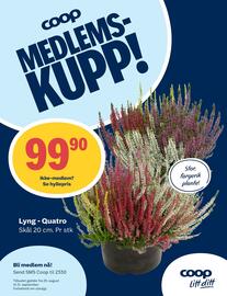 Coop Prix kundeavis uke 35 Side 11