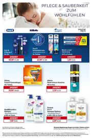 METRO Prospekt woche 36 Seite 17